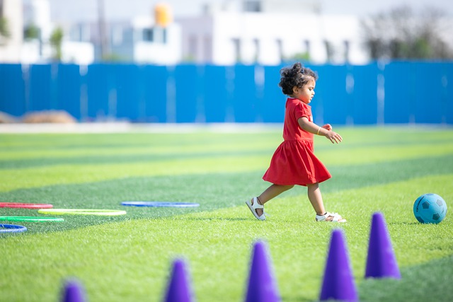 赛事的观赏 赛事的观赏