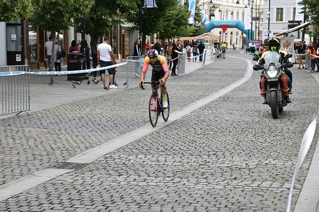 各地的羽毛 各地的羽毛