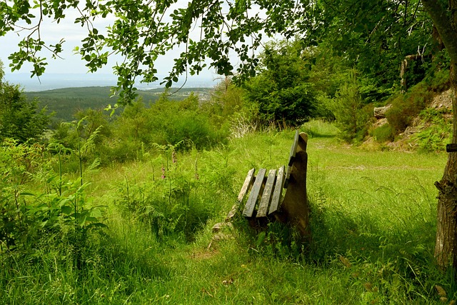 这样的联系 这样的联系